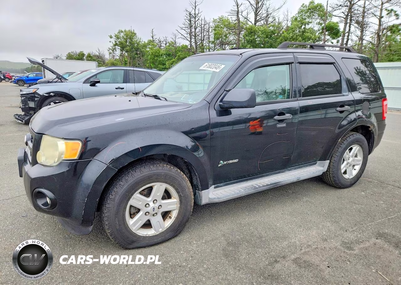 2010 Ford Escape Hybrid