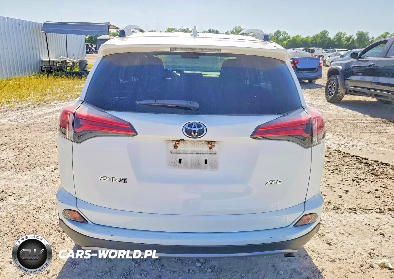 2017 Toyota Rav4 Xle VIN:2T3WFREV9HW315677 - 6