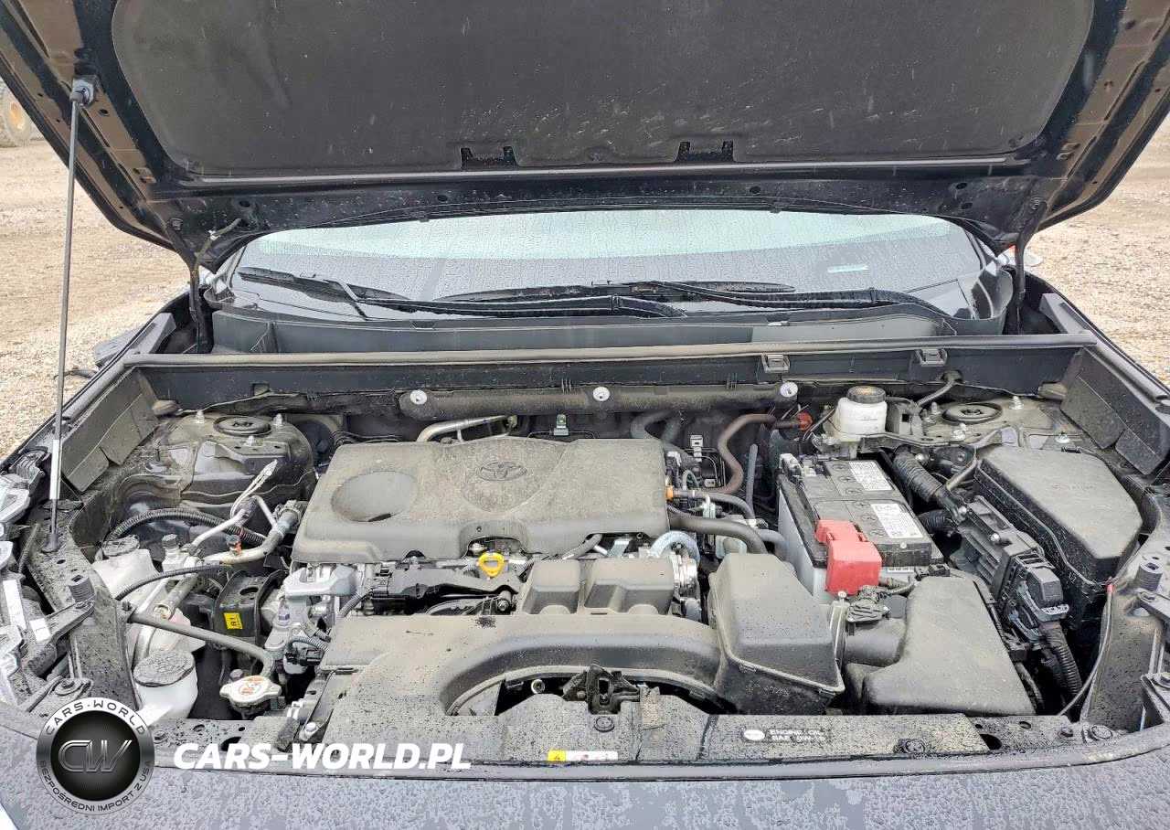 2025 Toyota Rav4 Xle Premium VIN:2T3C1RFV5SW440439 - 11