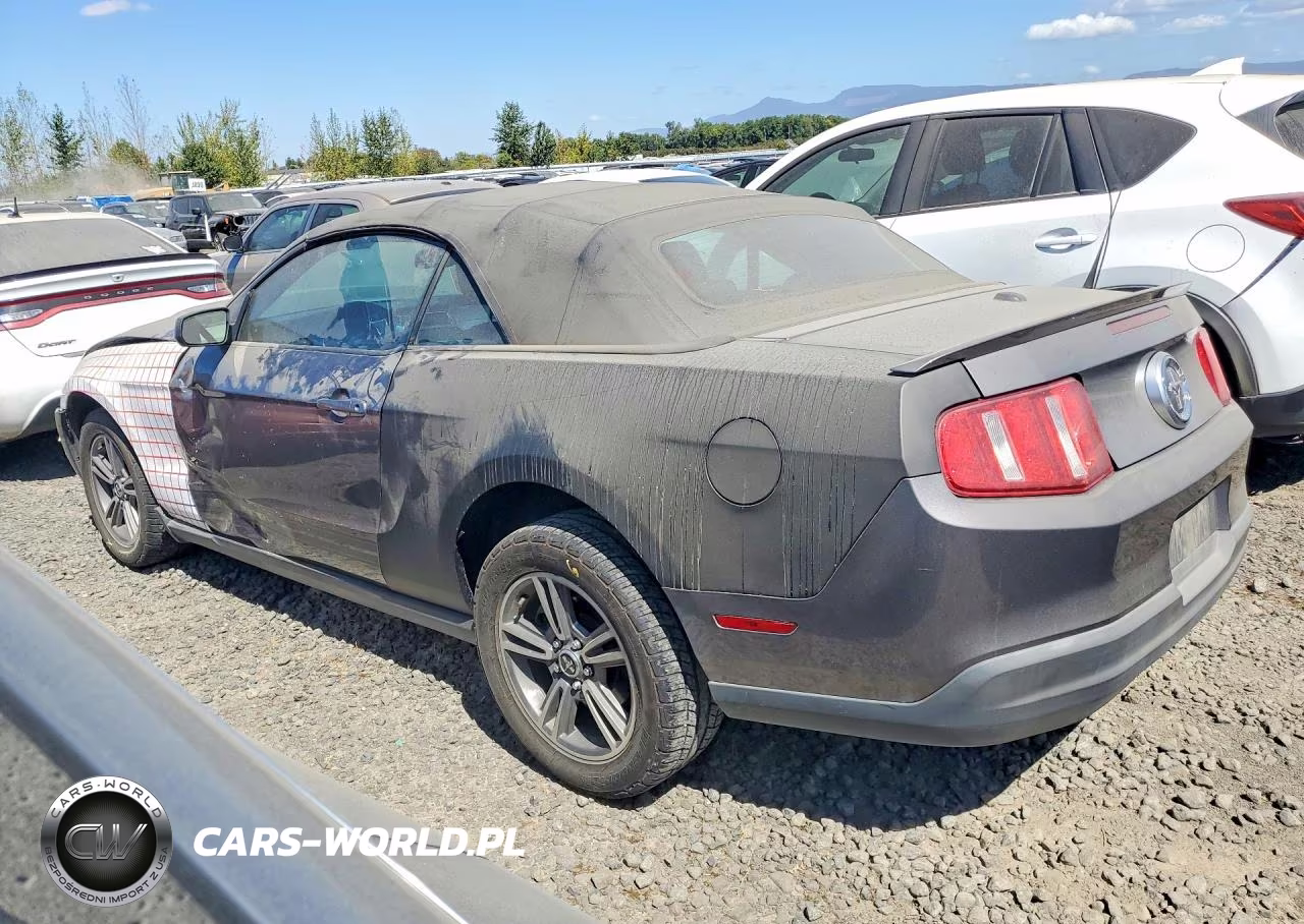 2010 Ford Mustang VIN:1ZVBP8EN6A5124640 - 2