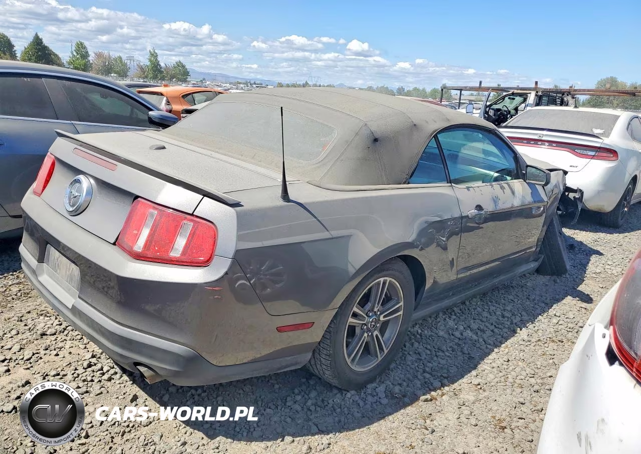2010 Ford Mustang VIN:1ZVBP8EN6A5124640 - 3