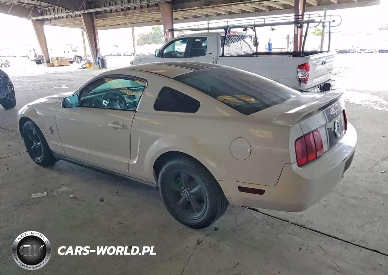 2006 Ford Mustang VIN:1ZVHT80N965150119 - 2