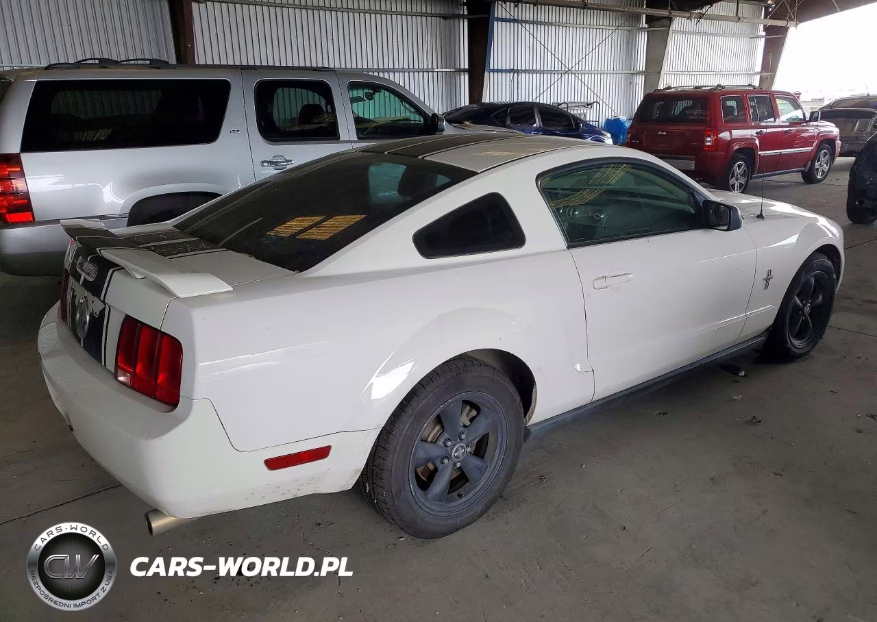 2006 Ford Mustang VIN:1ZVHT80N965150119 - 3