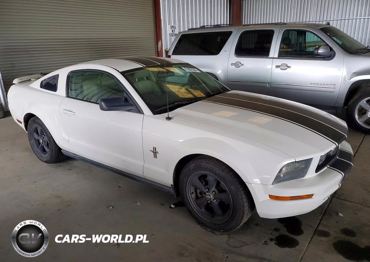 2006 Ford Mustang VIN:1ZVHT80N965150119 - 4