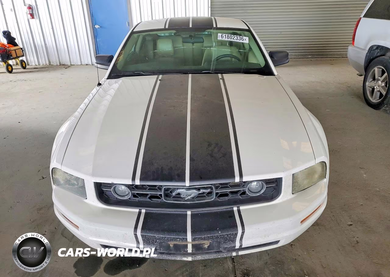 2006 Ford Mustang VIN:1ZVHT80N965150119 - 5