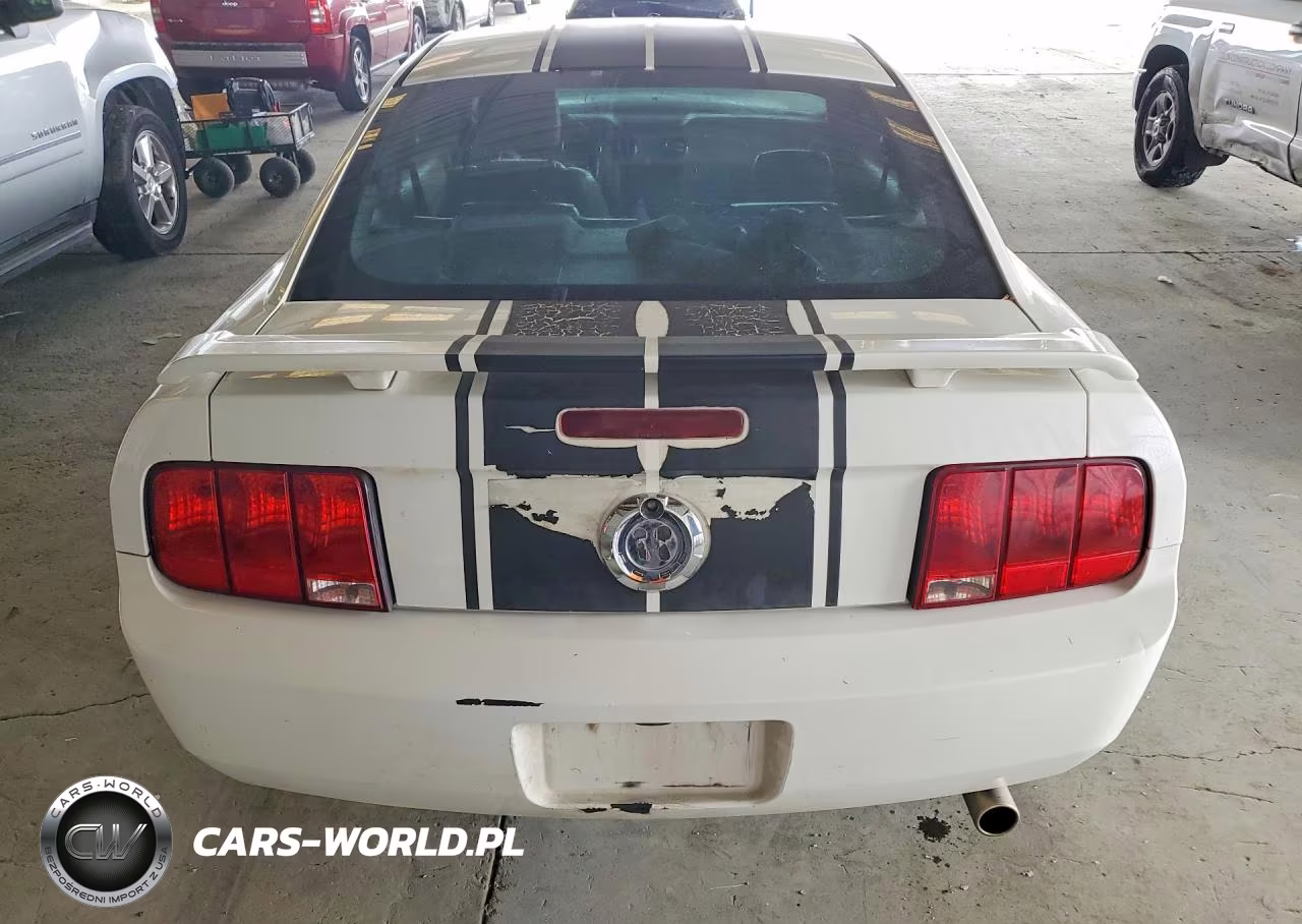 2006 Ford Mustang VIN:1ZVHT80N965150119 - 6