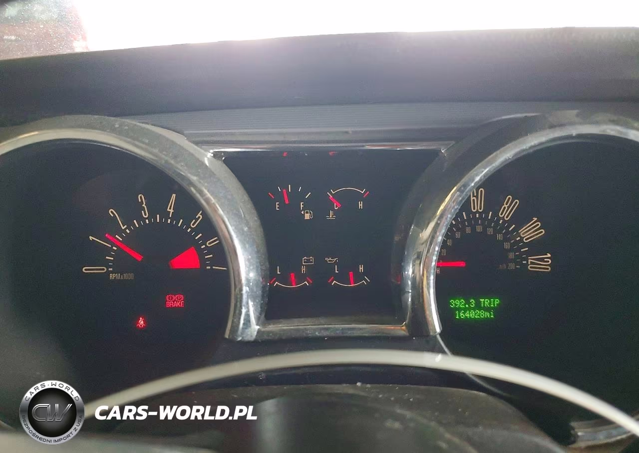 2006 Ford Mustang VIN:1ZVHT80N965150119 - 9