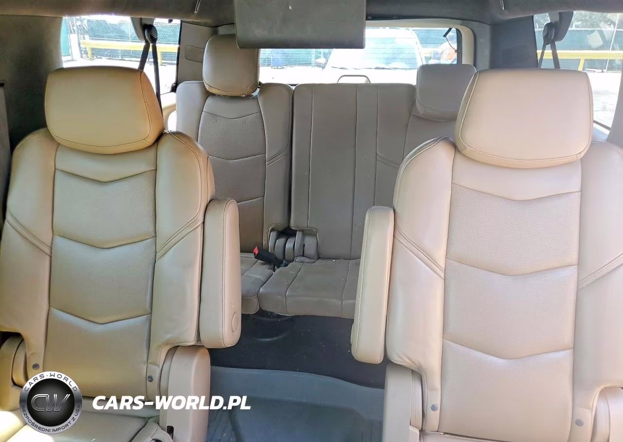 2020 Cadillac Escalade Esv Platinum VIN:1GYS4KKJ1LR155052 - 10