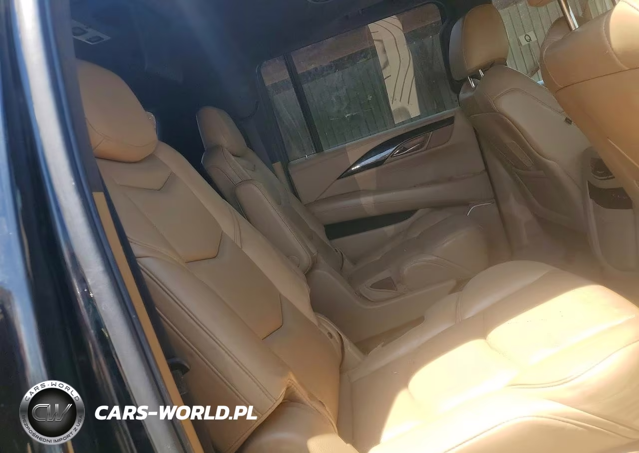2020 Cadillac Escalade Esv Platinum VIN:1GYS4KKJ1LR155052 - 11
