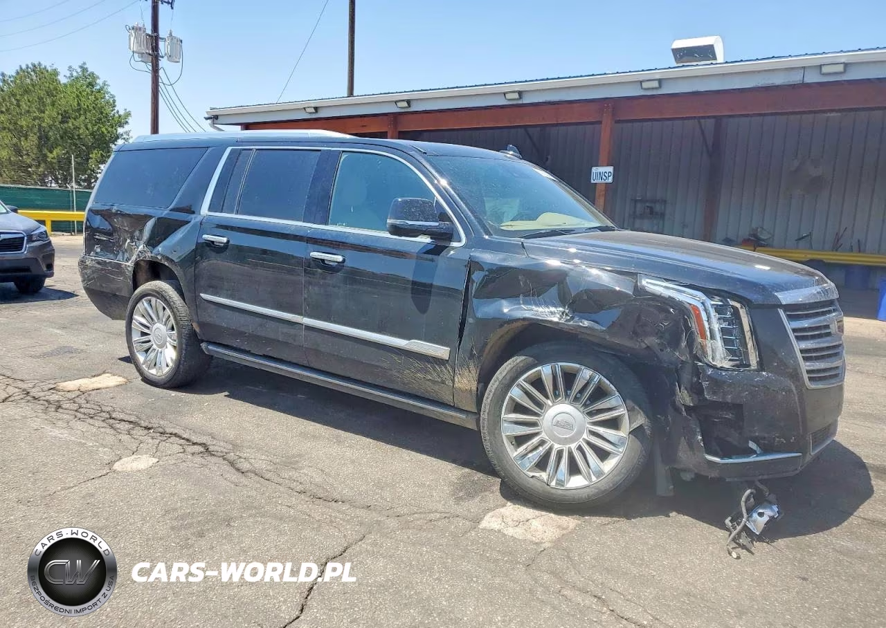 2020 Cadillac Escalade Esv Platinum VIN:1GYS4KKJ1LR155052 - 4