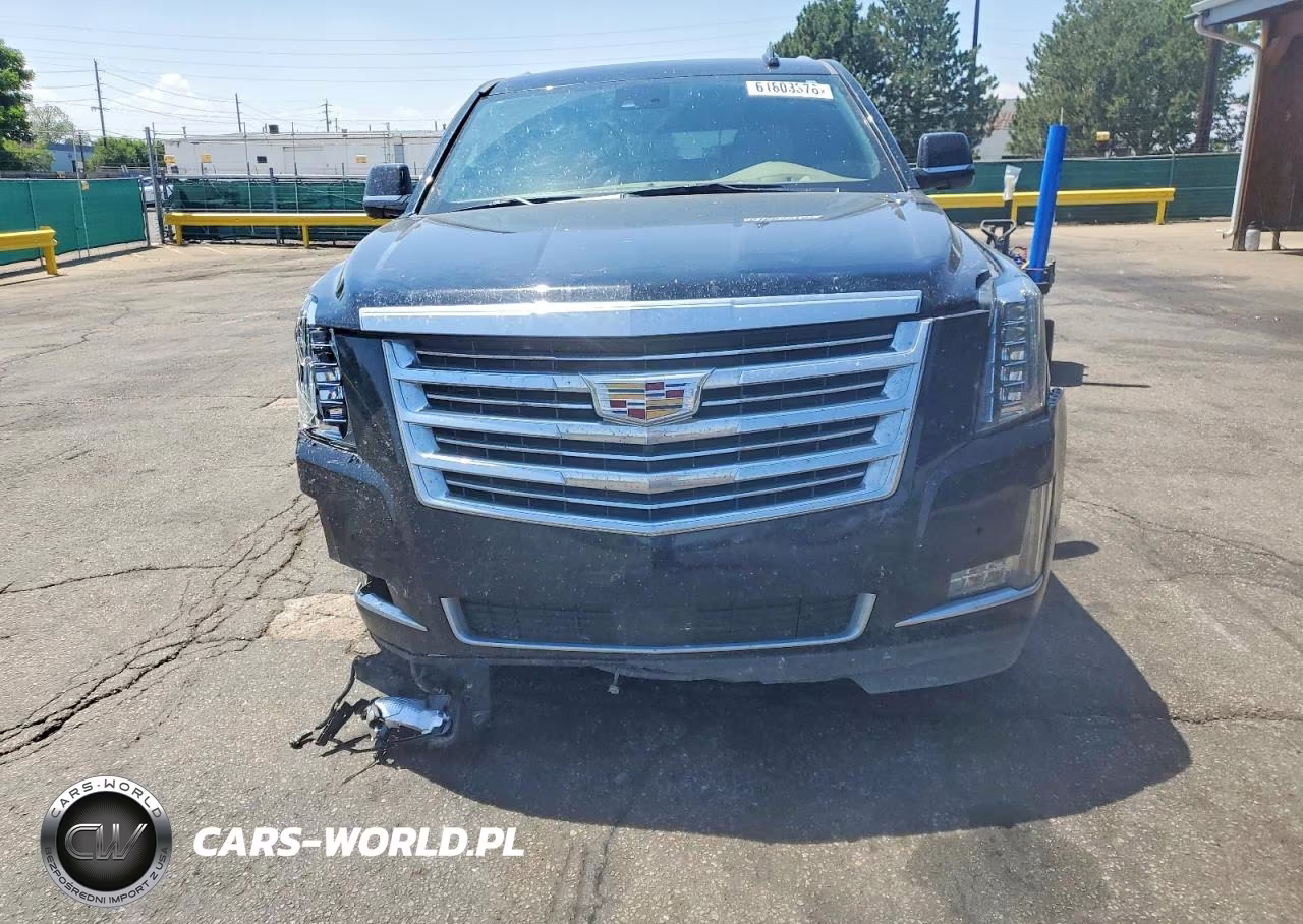 2020 Cadillac Escalade Esv Platinum VIN:1GYS4KKJ1LR155052 - 5