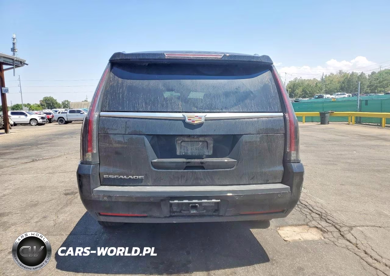 2020 Cadillac Escalade Esv Platinum VIN:1GYS4KKJ1LR155052 - 6