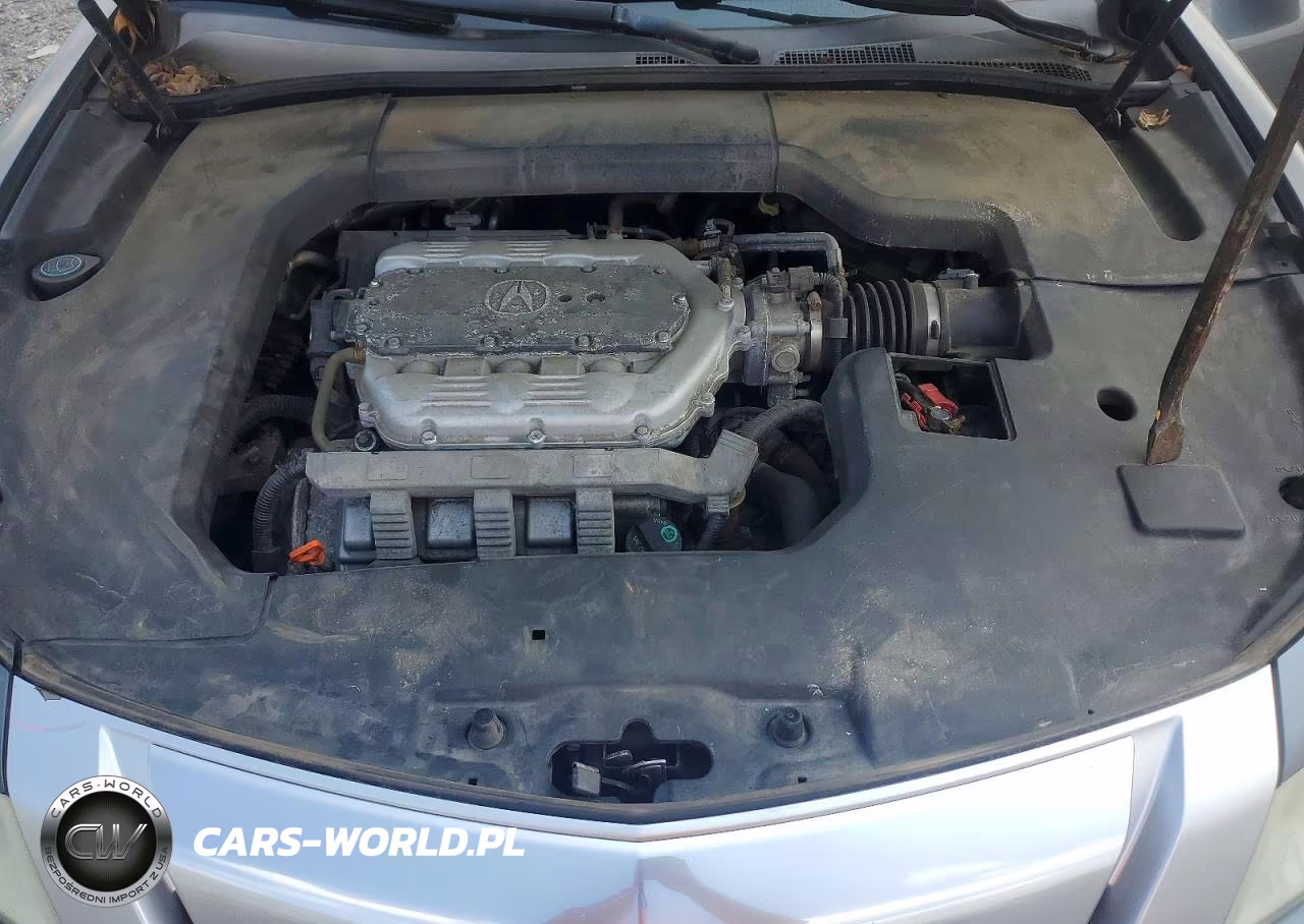 2009 Acura Tl VIN:19UUA86539A011048 - 11
