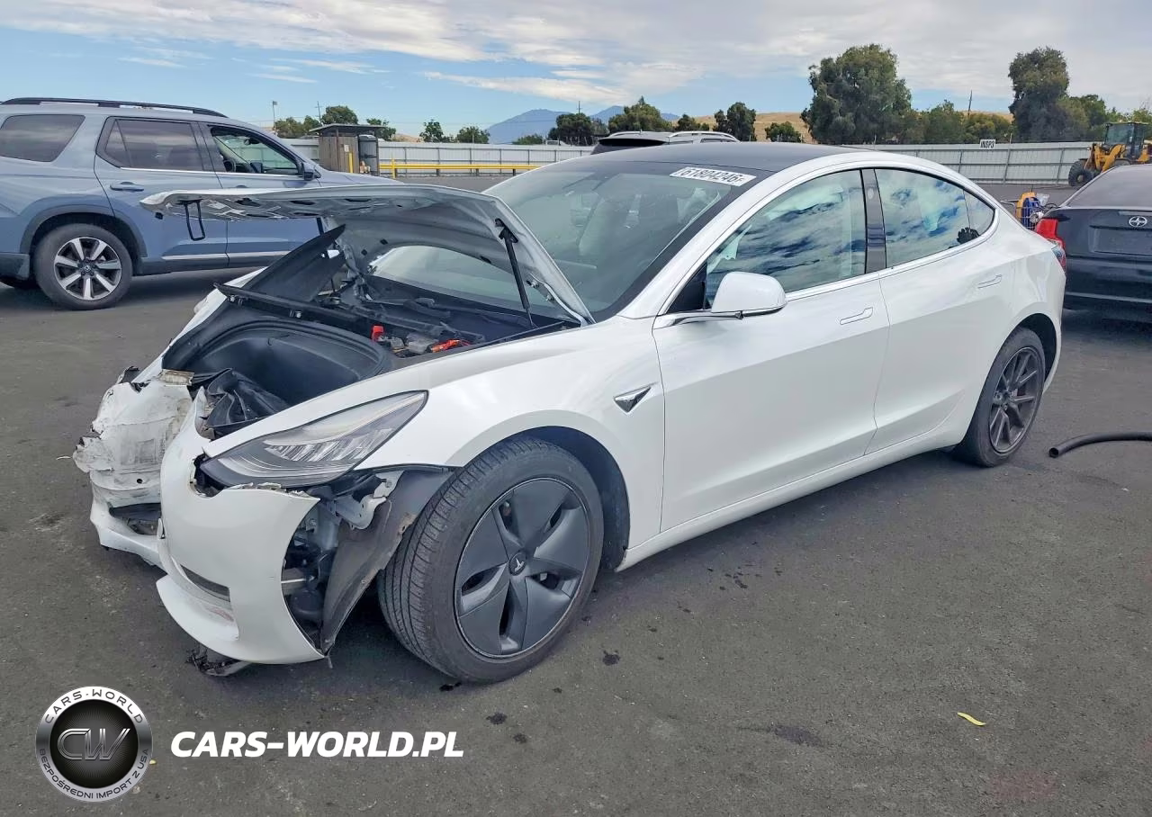 2019 Tesla Model 3 – zdjęcie 1 z 12