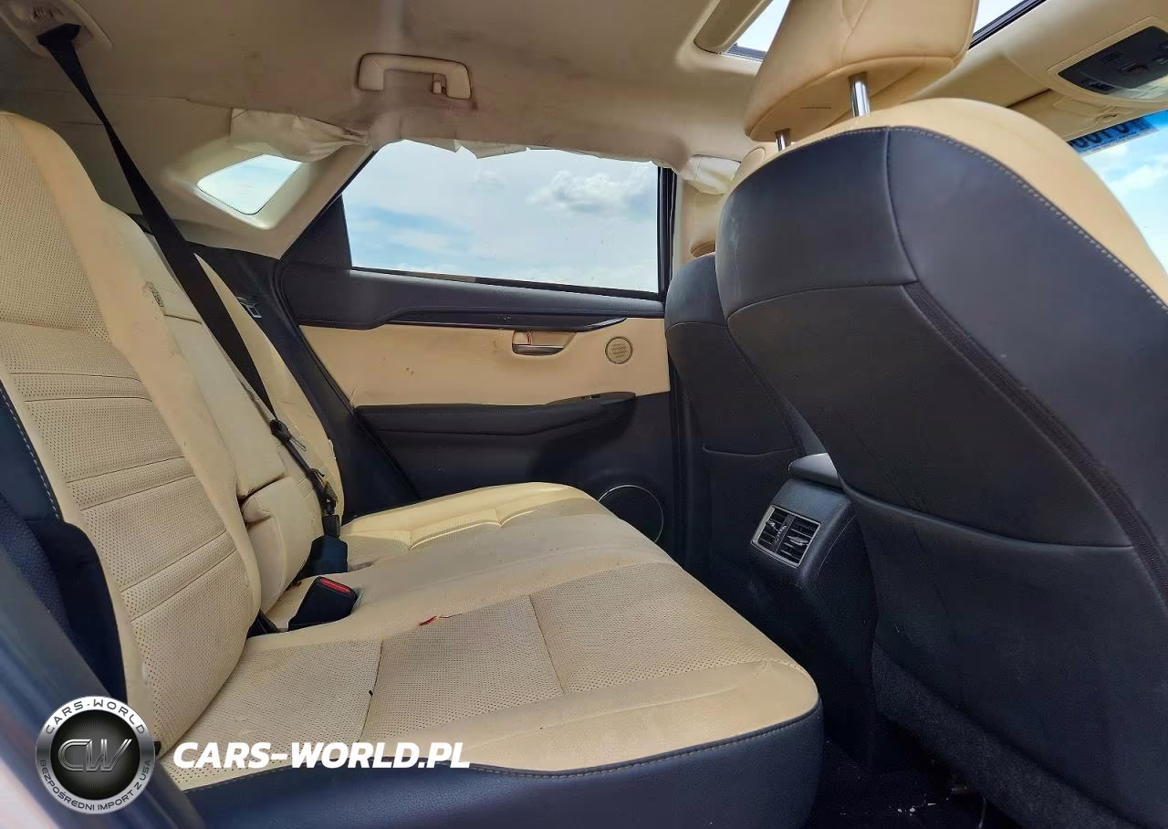 2019 Lexus Nx 300 Base VIN:JTJYARBZ2K2141558 - 11