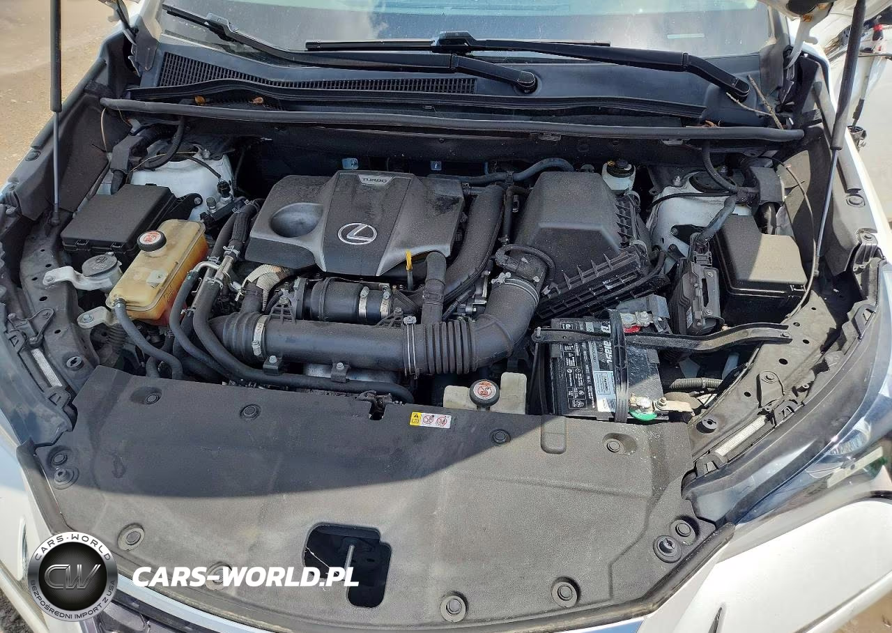 2019 Lexus Nx 300 Base VIN:JTJYARBZ2K2141558 - 12