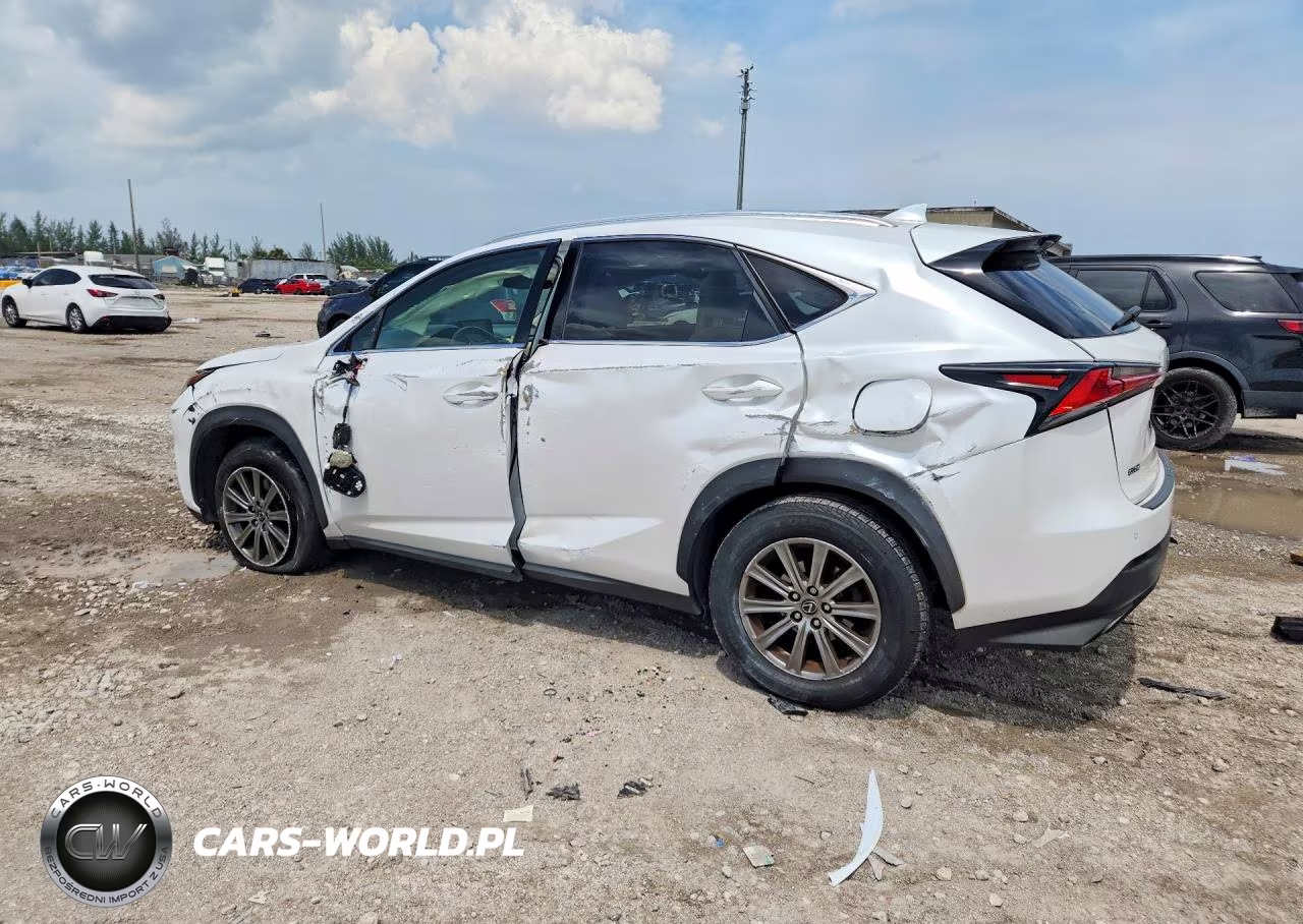 2019 Lexus Nx 300 Base VIN:JTJYARBZ2K2141558 - 2