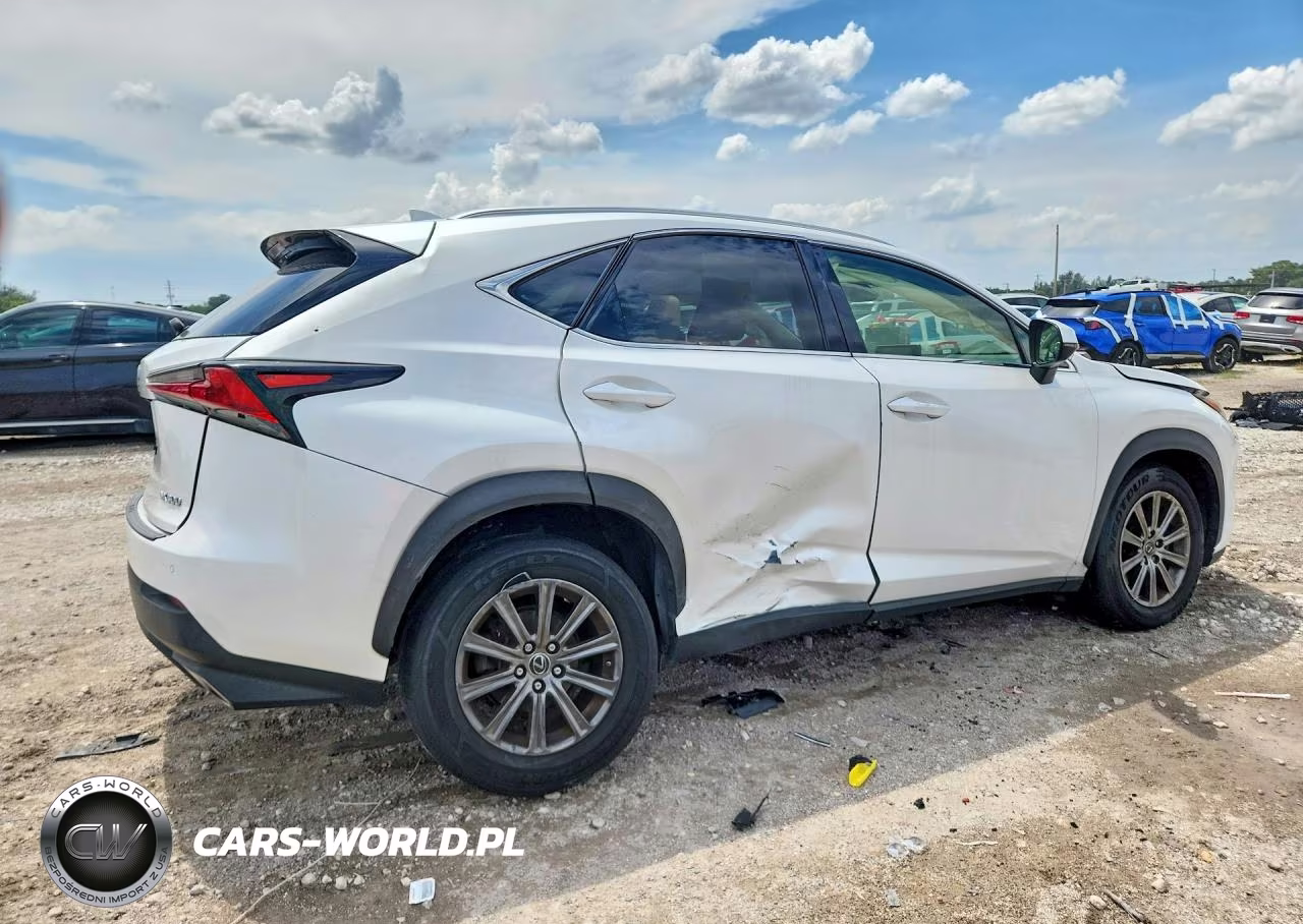 2019 Lexus Nx 300 Base VIN:JTJYARBZ2K2141558 - 3