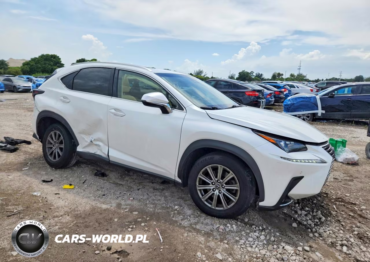 2019 Lexus Nx 300 Base VIN:JTJYARBZ2K2141558 - 4