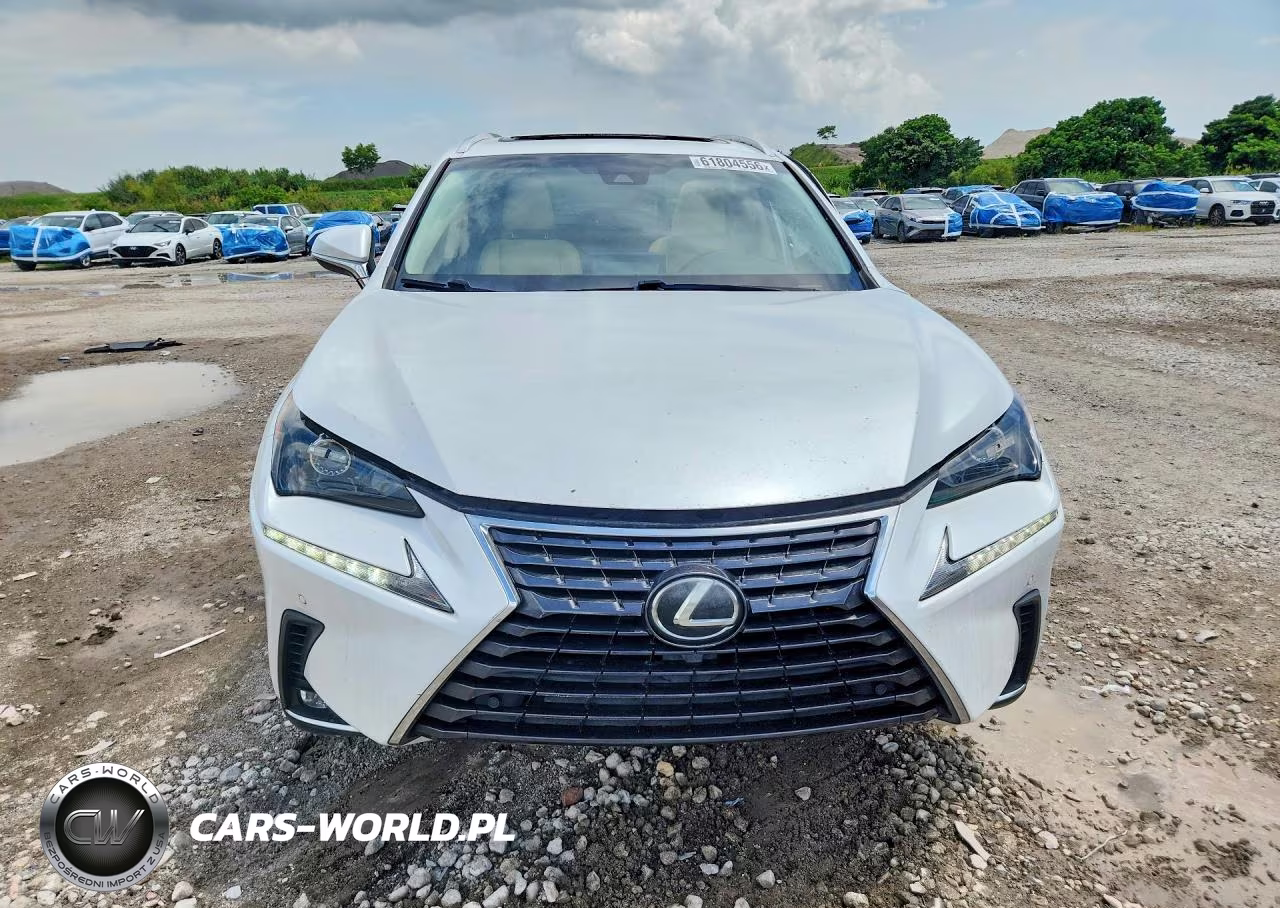 2019 Lexus Nx 300 Base VIN:JTJYARBZ2K2141558 - 5