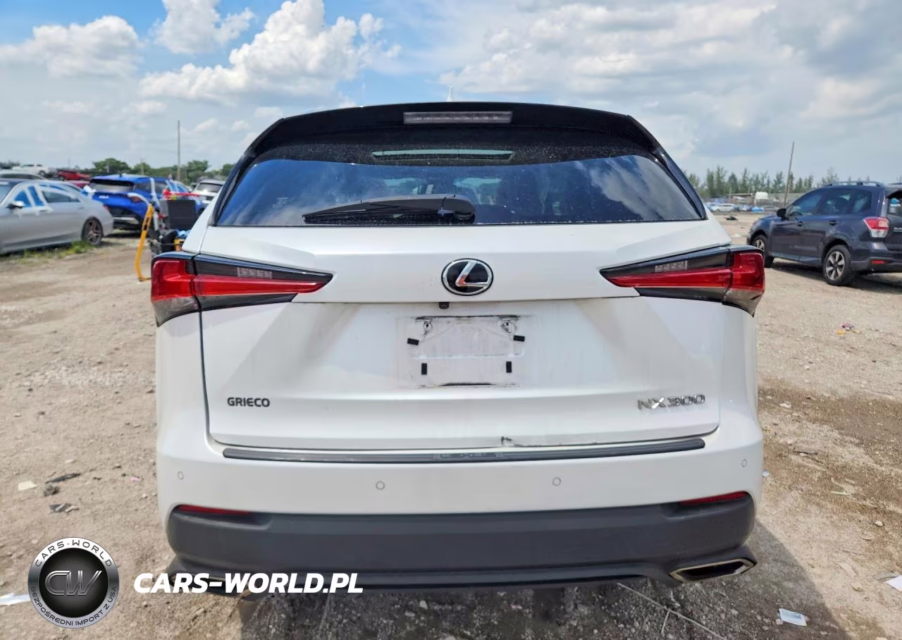2019 Lexus Nx 300 Base VIN:JTJYARBZ2K2141558 - 6