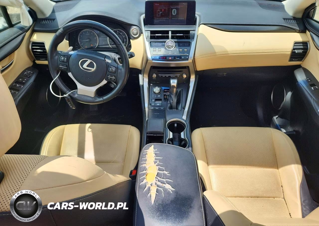 2019 Lexus Nx 300 Base VIN:JTJYARBZ2K2141558 - 8