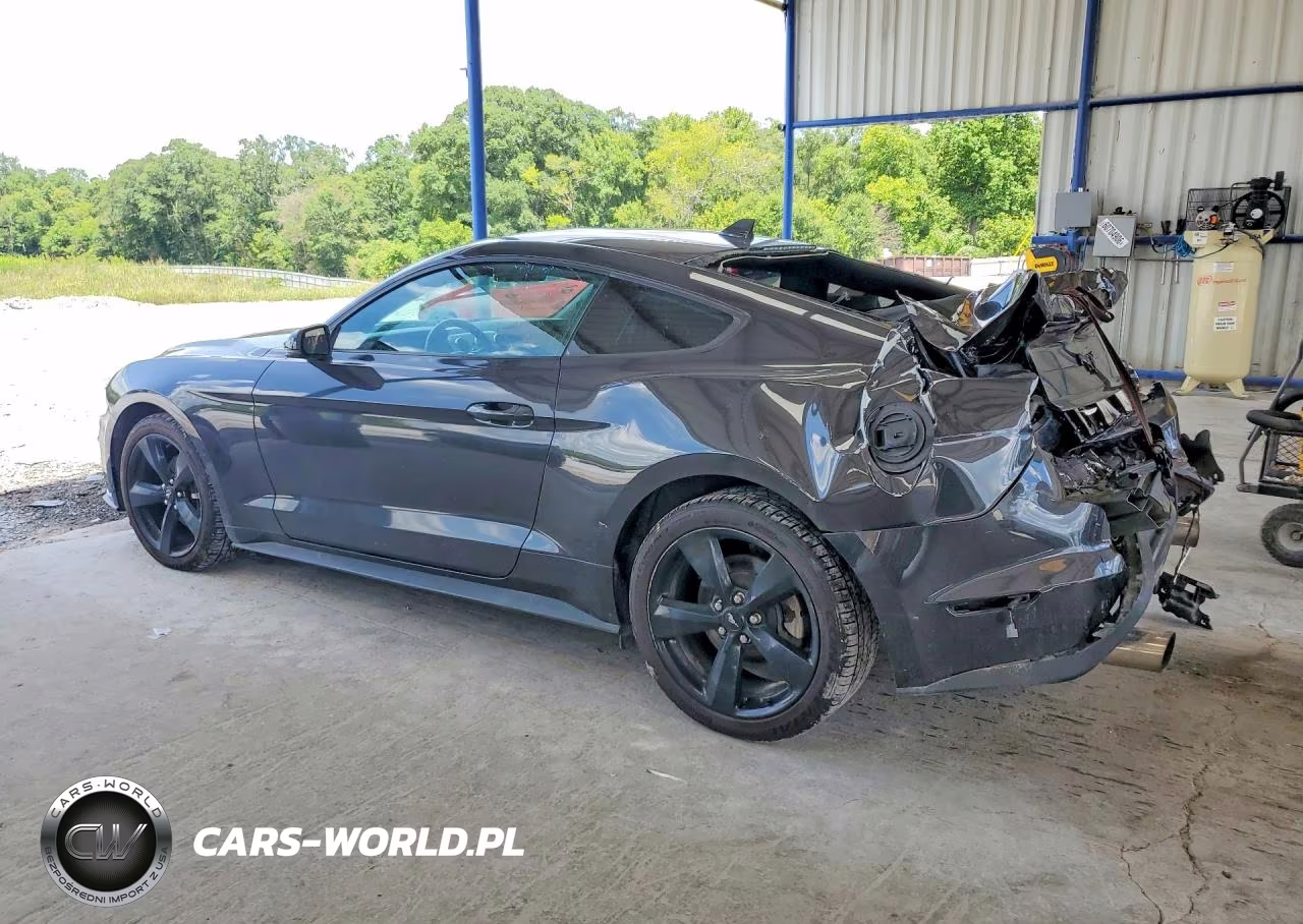 2023 Ford Mustang VIN:1FA6P8TH9P5107492 - 2