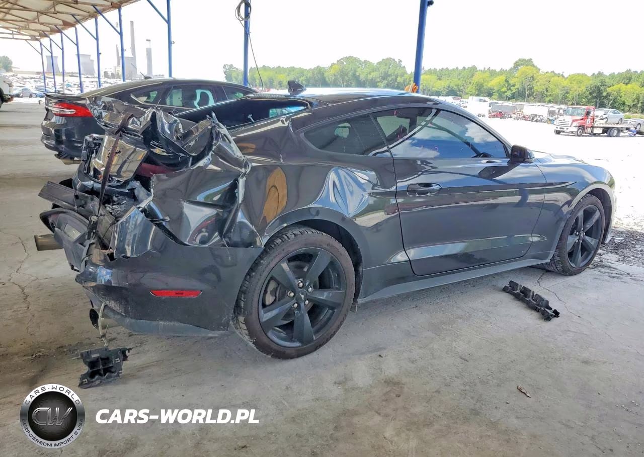 2023 Ford Mustang VIN:1FA6P8TH9P5107492 - 3