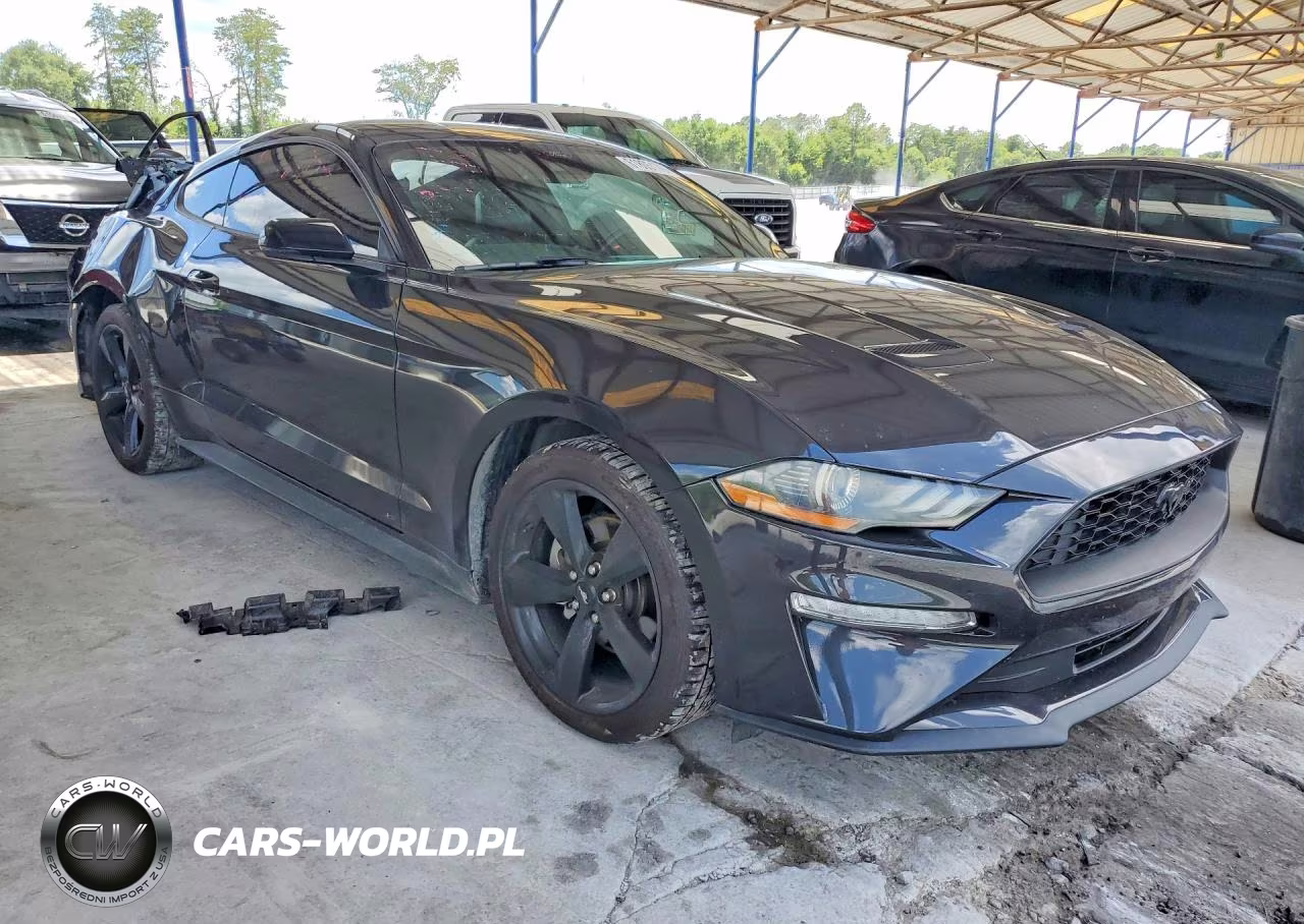 2023 Ford Mustang VIN:1FA6P8TH9P5107492 - 4