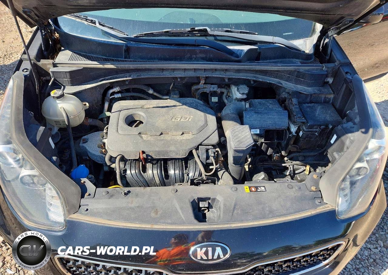 2019 Kia Sportage Lx VIN:KNDPMCAC1K7491511 - 12