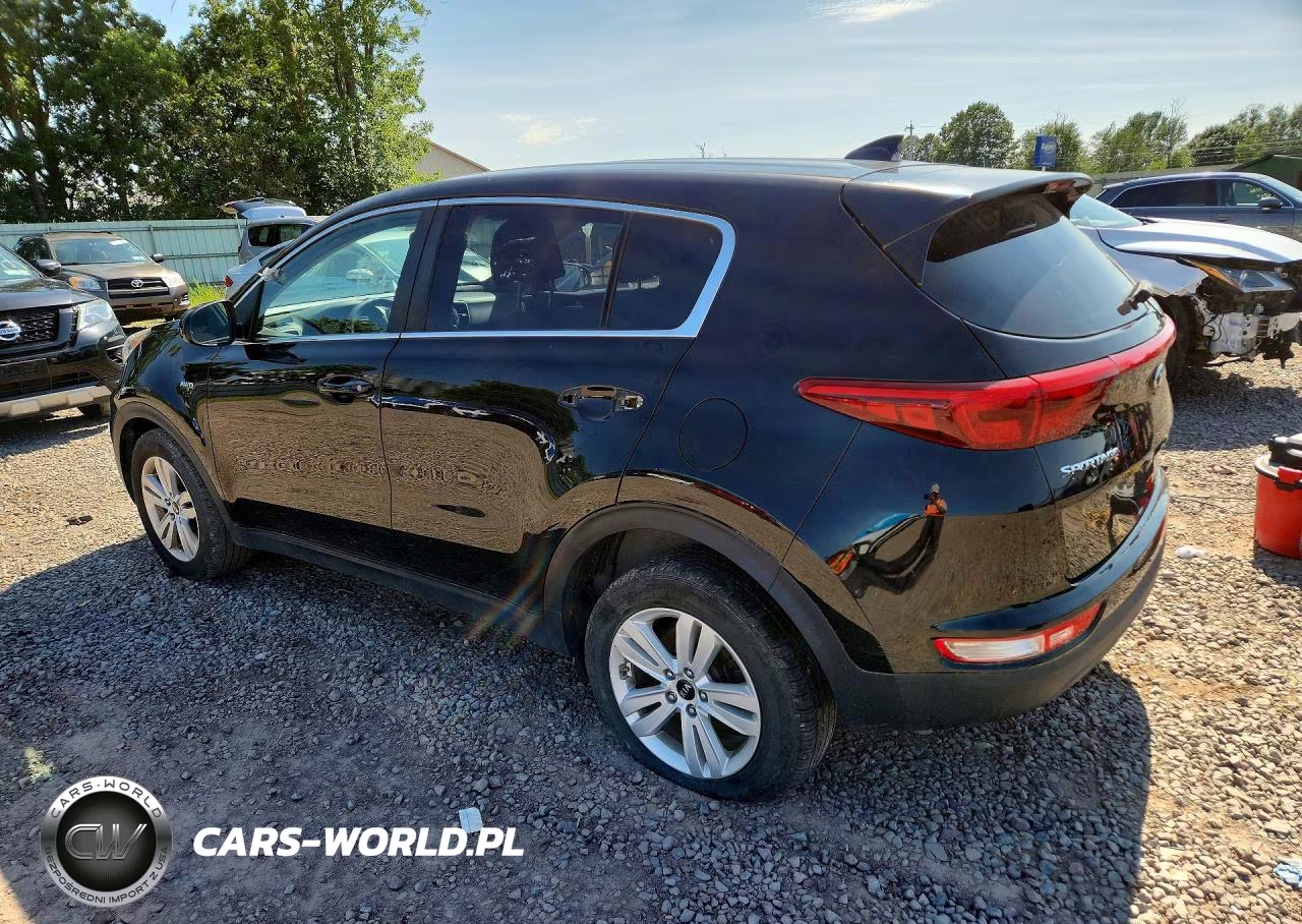 2019 Kia Sportage Lx VIN:KNDPMCAC1K7491511 - 2