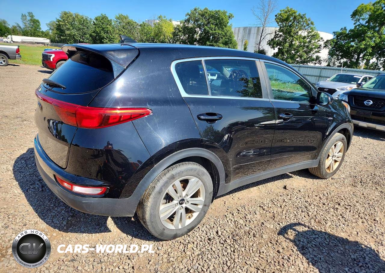 2019 Kia Sportage Lx VIN:KNDPMCAC1K7491511 - 3