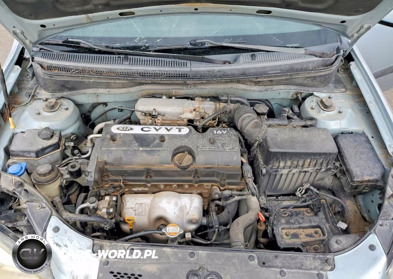 2009 Kia Rio Base VIN:KNADE223X96451207 - 11