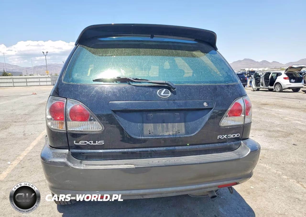 2001 Lexus Rx 300 VIN:JTJHF10UX10223333 - 6
