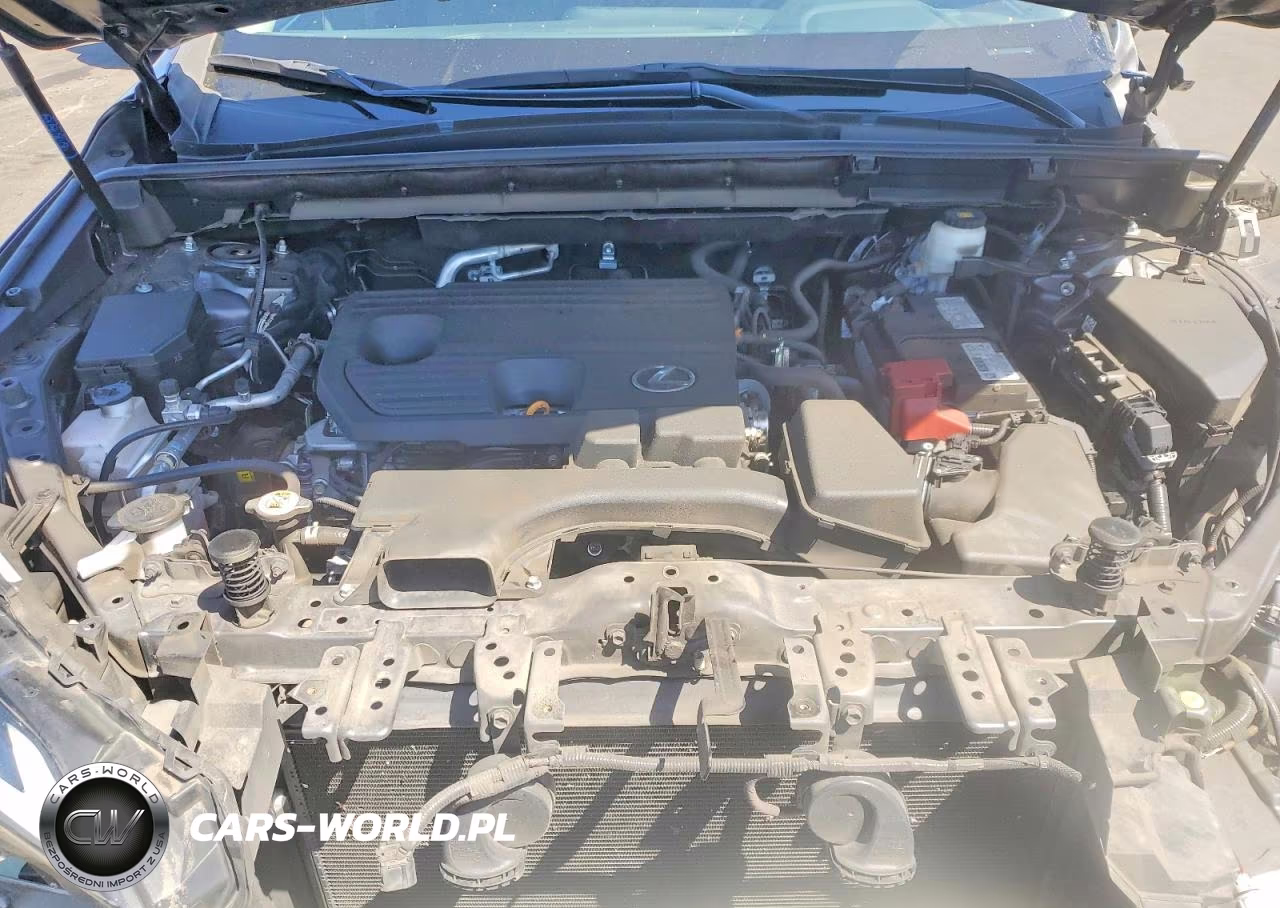 2023 Lexus Nx 250 VIN:2T2ADCEZ1PC002921 - 12