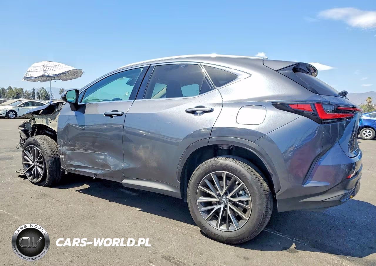 2023 Lexus Nx 250 VIN:2T2ADCEZ1PC002921 - 2