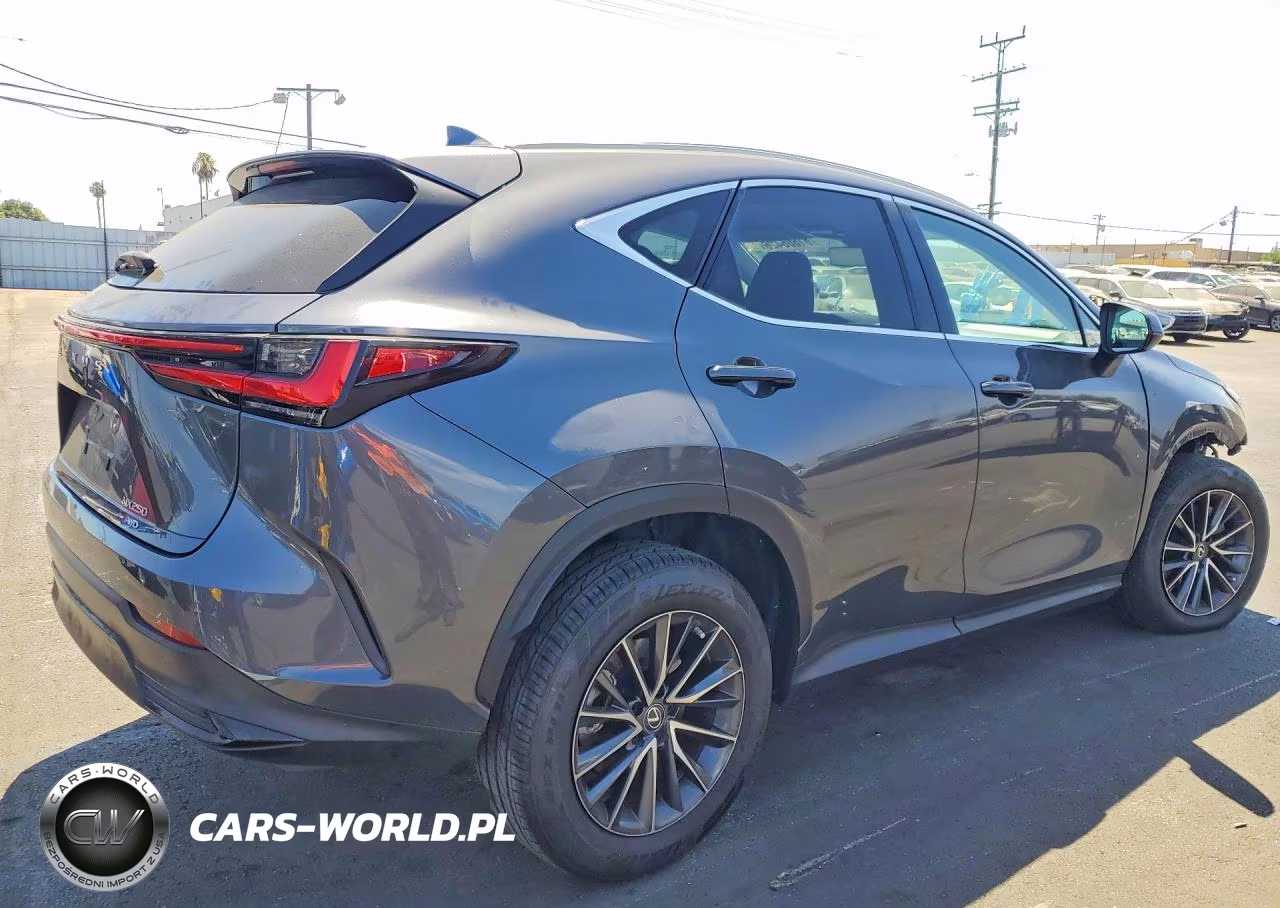 2023 Lexus Nx 250 VIN:2T2ADCEZ1PC002921 - 3