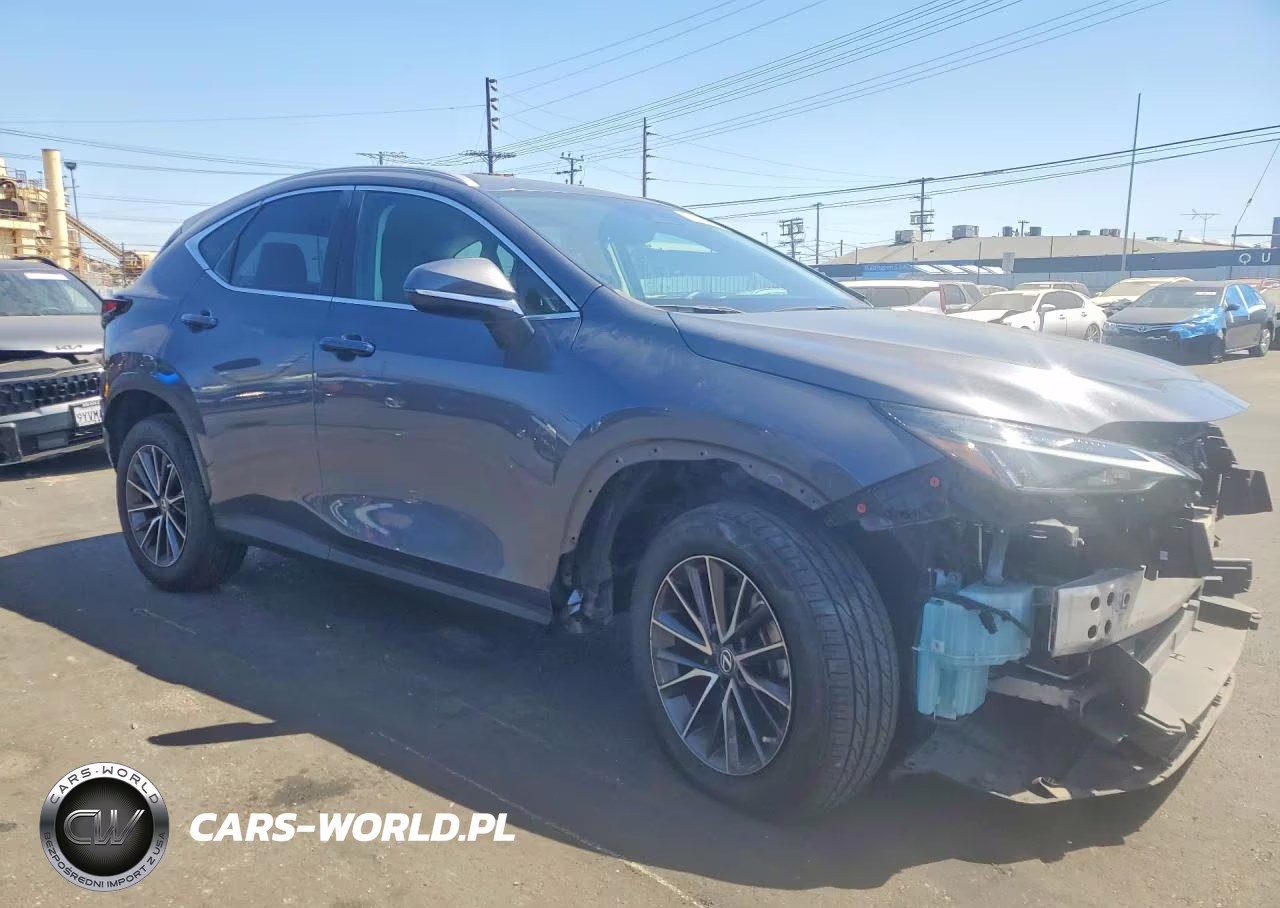 2023 Lexus Nx 250 VIN:2T2ADCEZ1PC002921 - 4