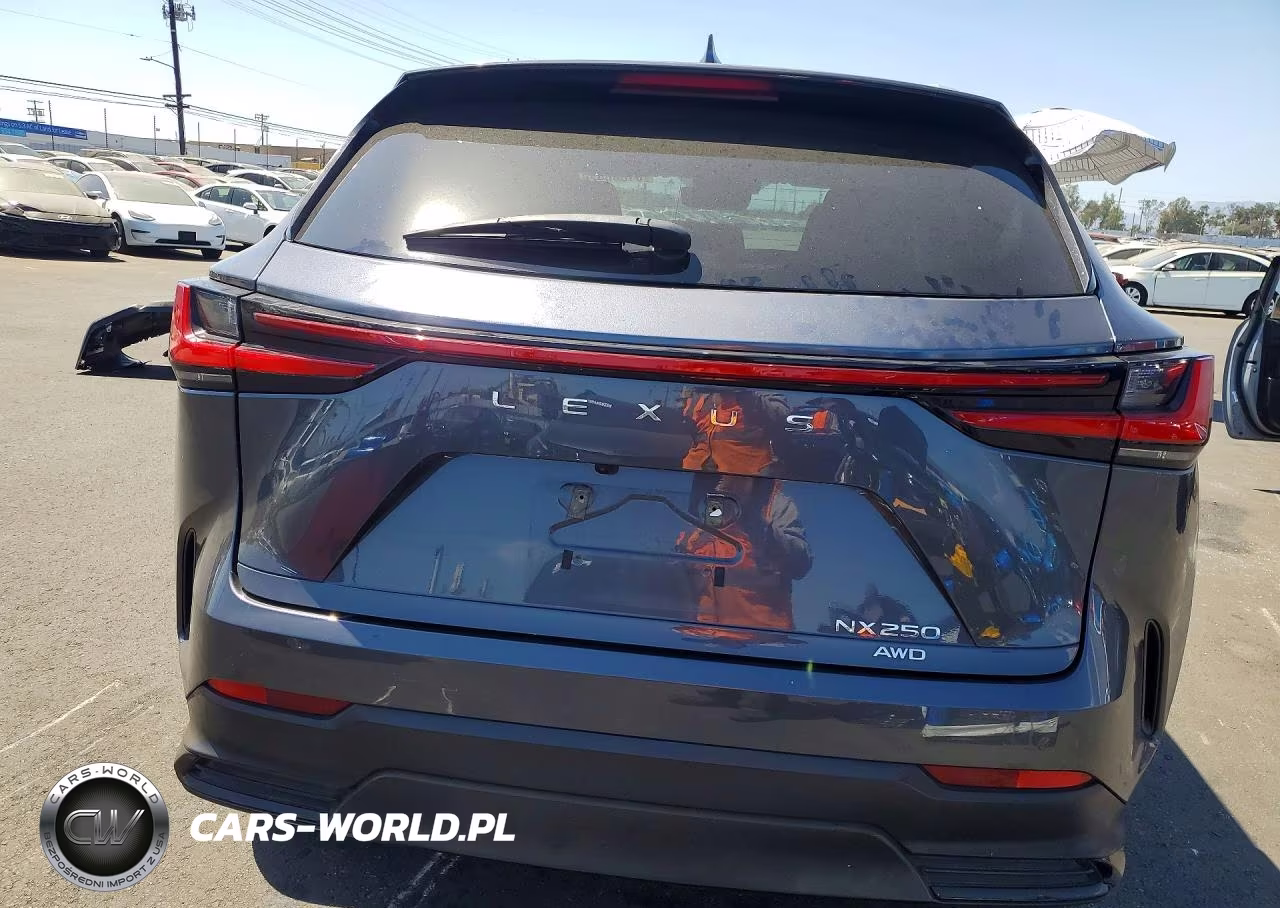 2023 Lexus Nx 250 VIN:2T2ADCEZ1PC002921 - 6