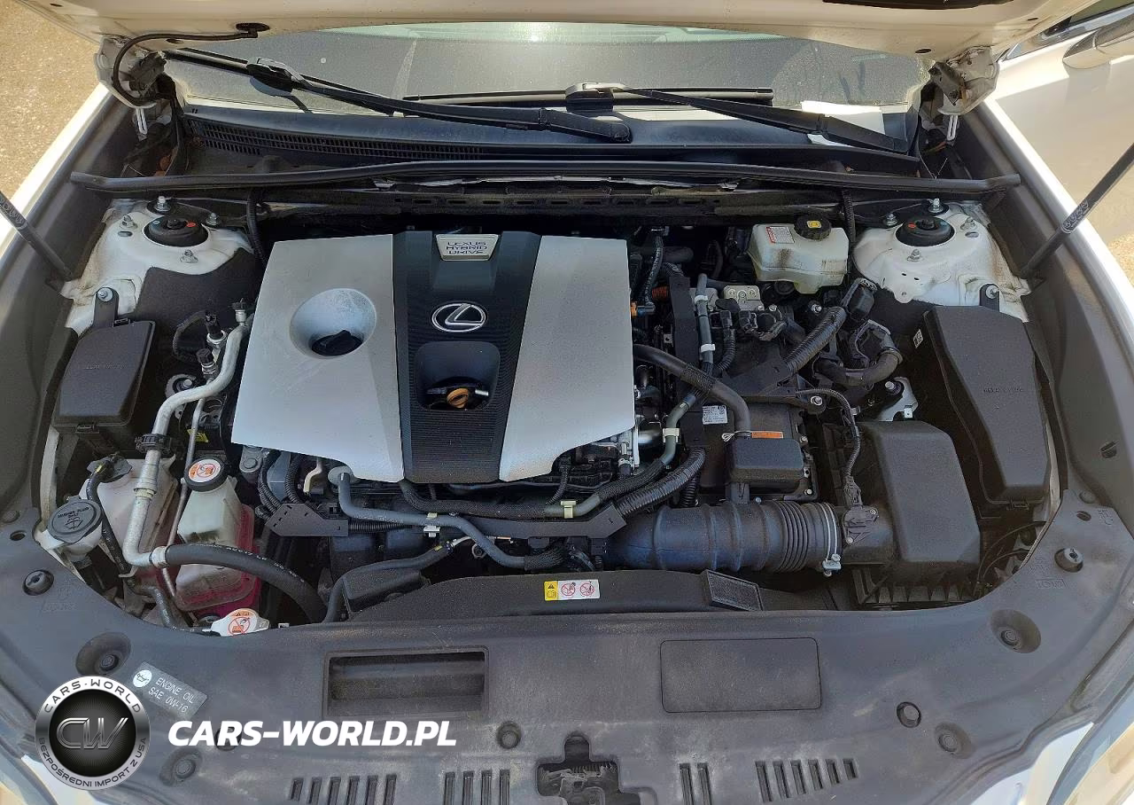 2019 Lexus Es 300H VIN:58AB21B16KU003127 - 11
