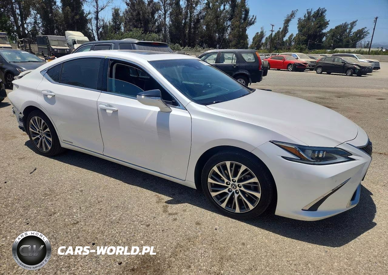 2019 Lexus Es 300H VIN:58AB21B16KU003127 - 4