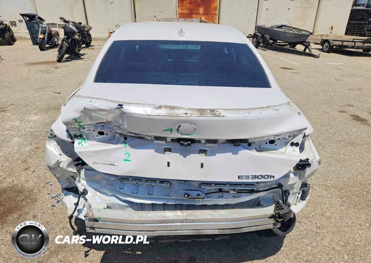 2019 Lexus Es 300H VIN:58AB21B16KU003127 - 6