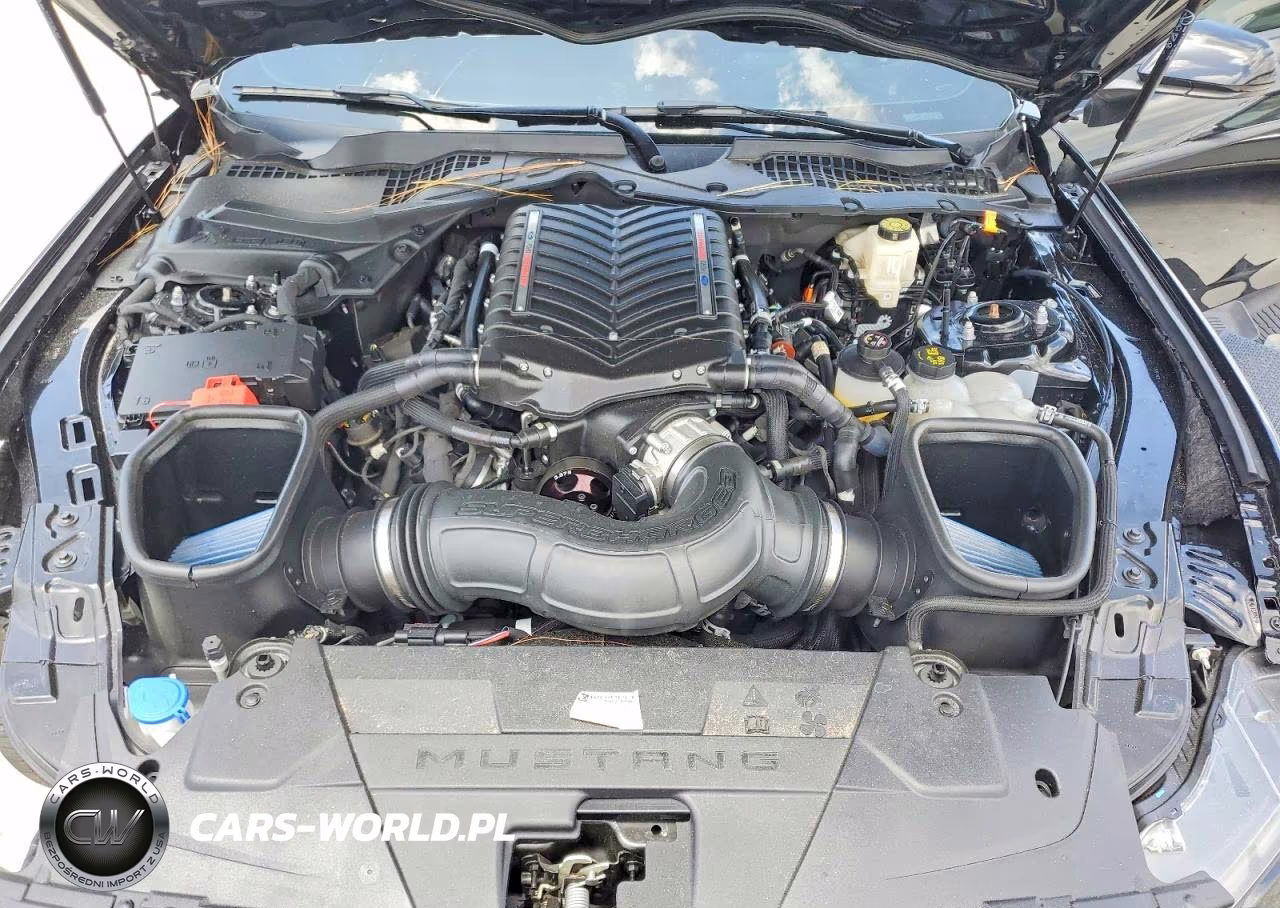 2024 Ford Mustang Gt VIN:1FA6P8CF9R5432998 - 11