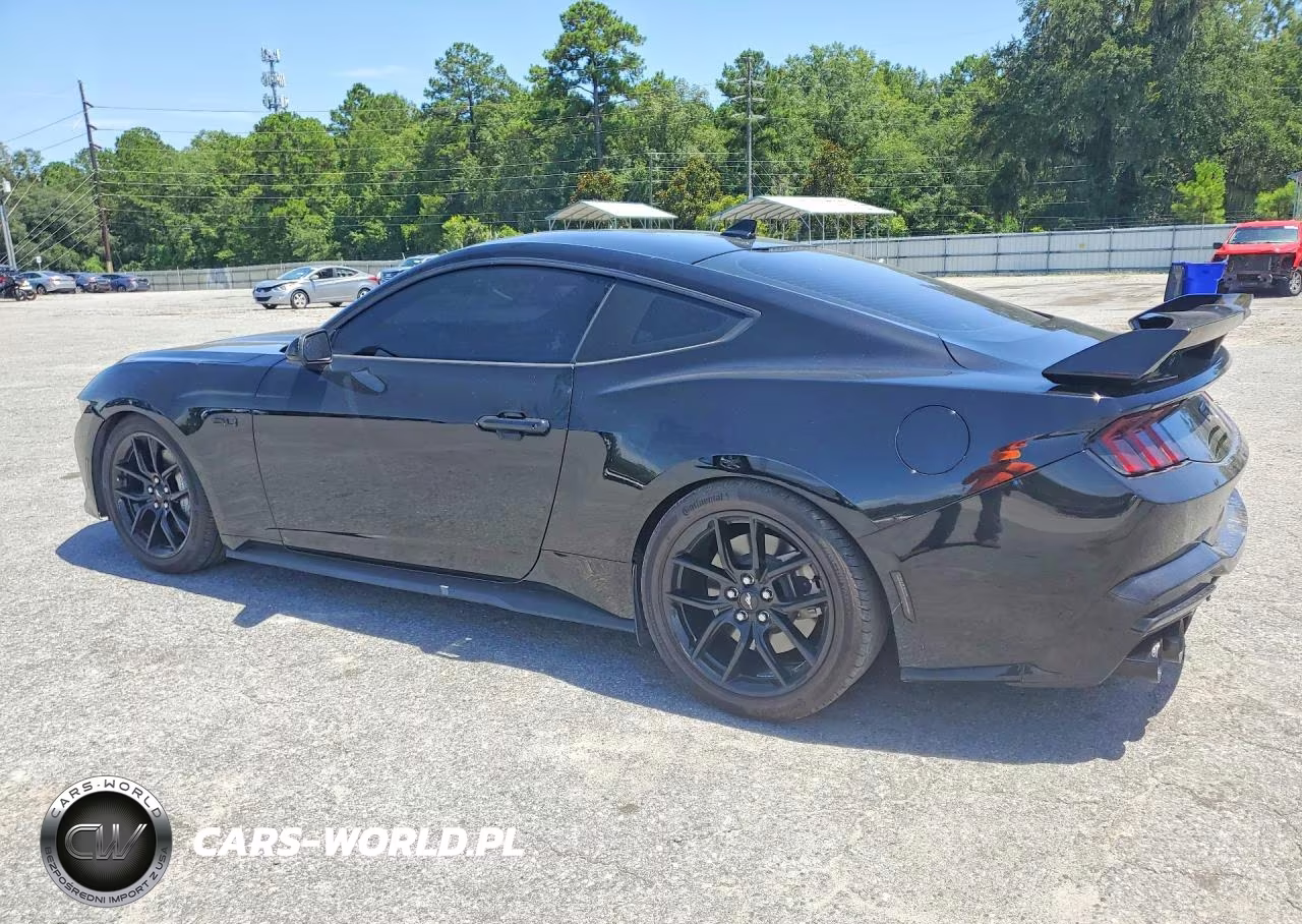 2024 Ford Mustang Gt VIN:1FA6P8CF9R5432998 - 2