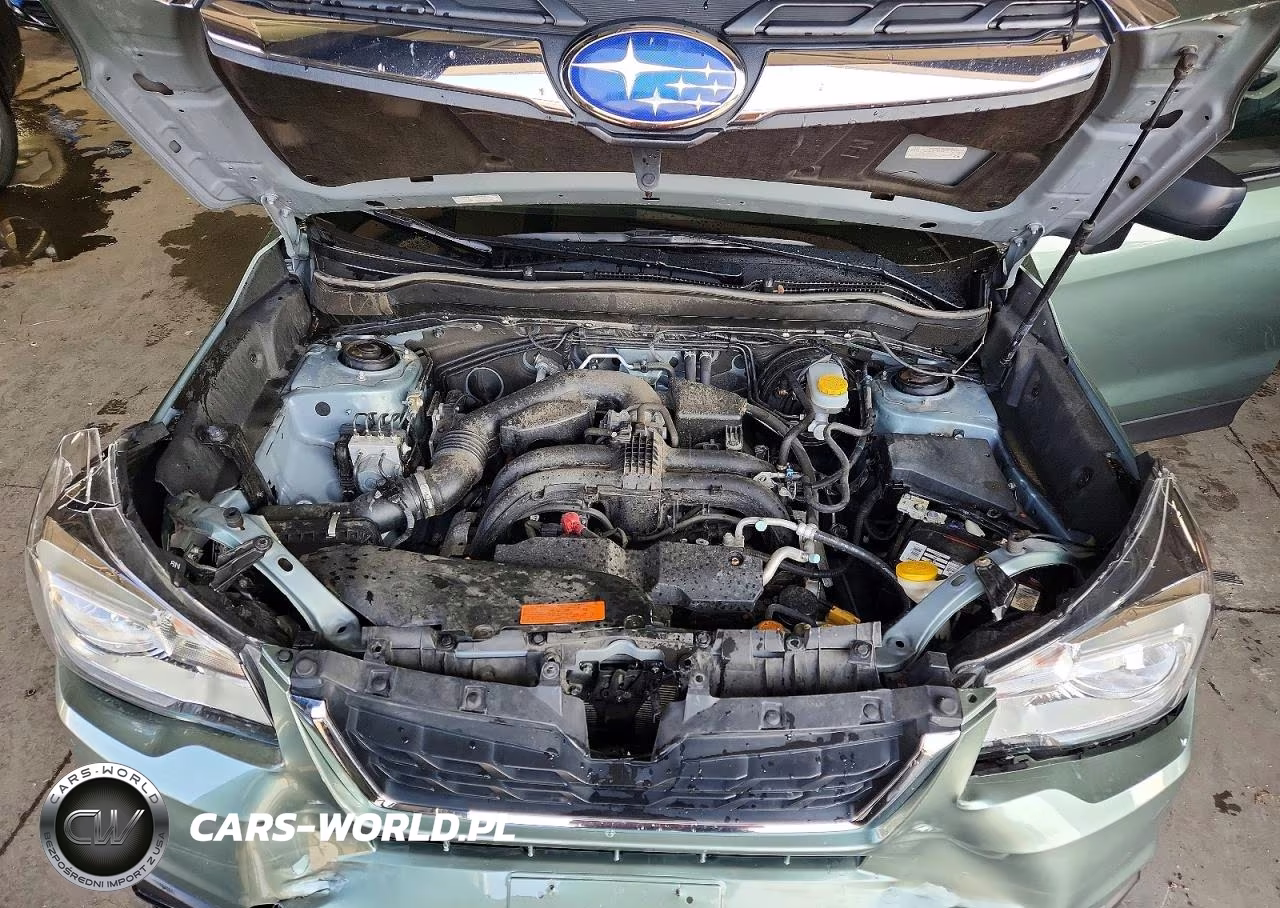 2017 Subaru Forester 2.5I VIN:JF2SJABC9HH429719 - 11