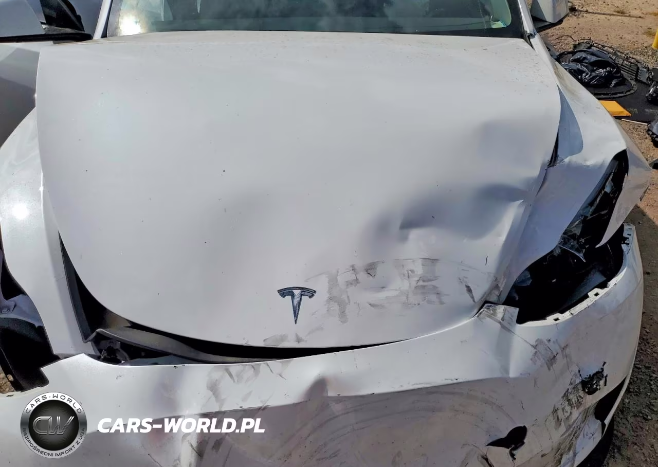 2024 Tesla Model Y VIN:7SAYGDED0RF102563 - 12