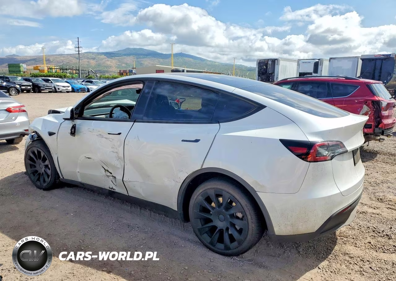 2024 Tesla Model Y VIN:7SAYGDED0RF102563 - 2