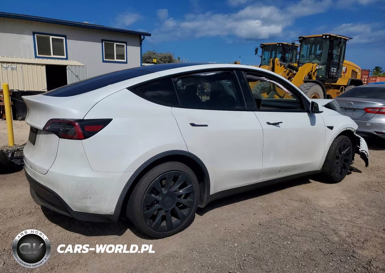 2024 Tesla Model Y VIN:7SAYGDED0RF102563 - 3