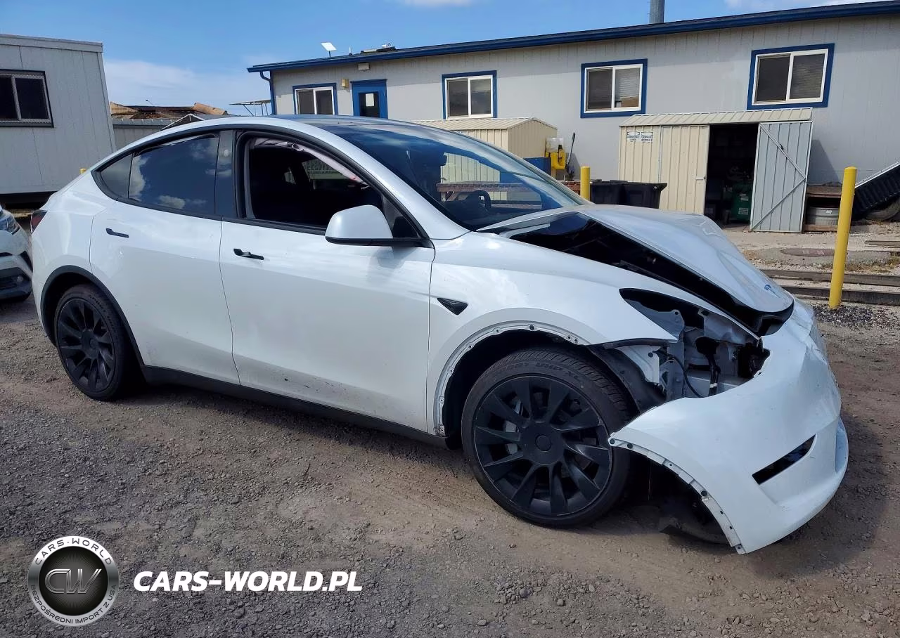 2024 Tesla Model Y VIN:7SAYGDED0RF102563 - 4