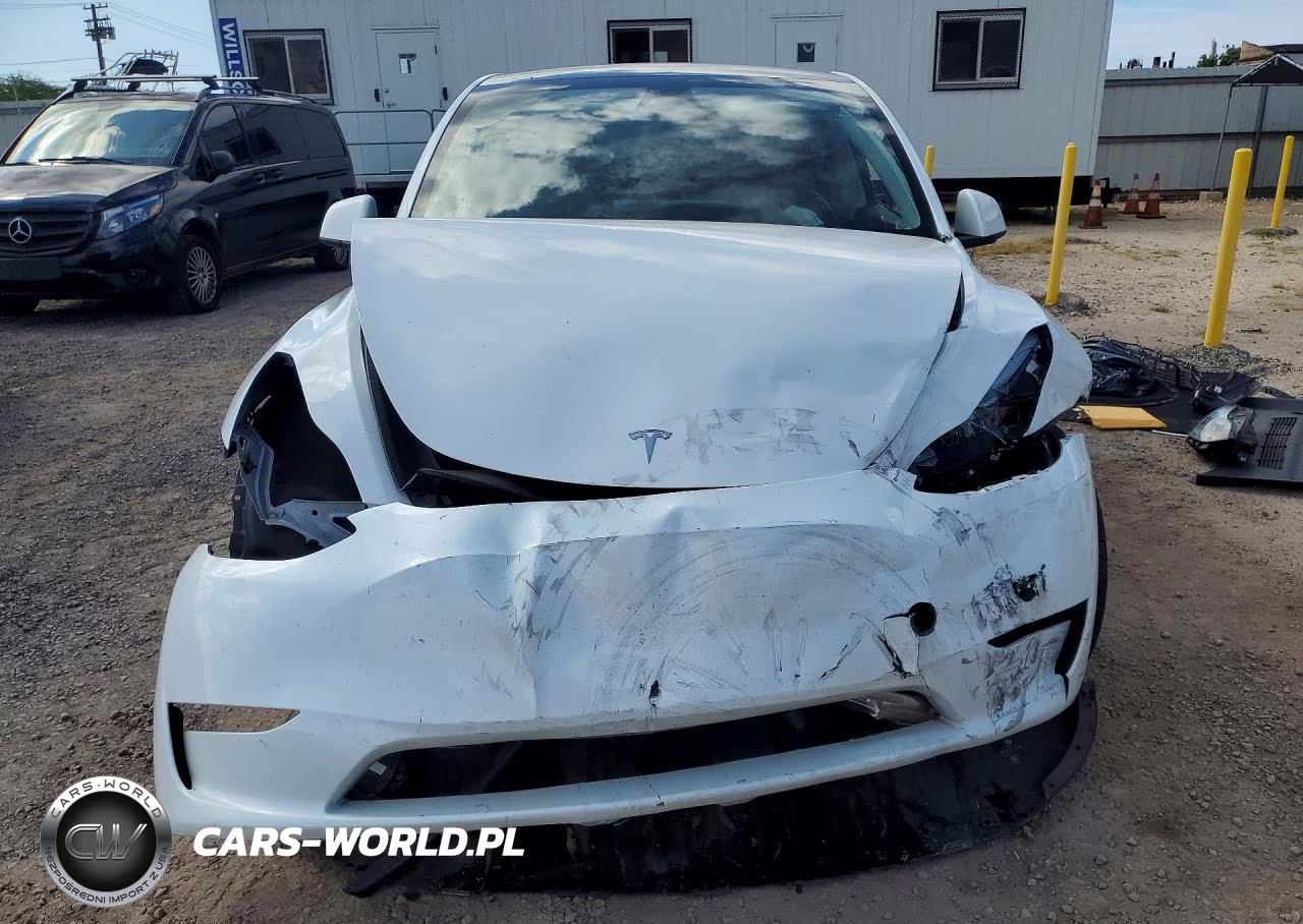 2024 Tesla Model Y VIN:7SAYGDED0RF102563 - 5